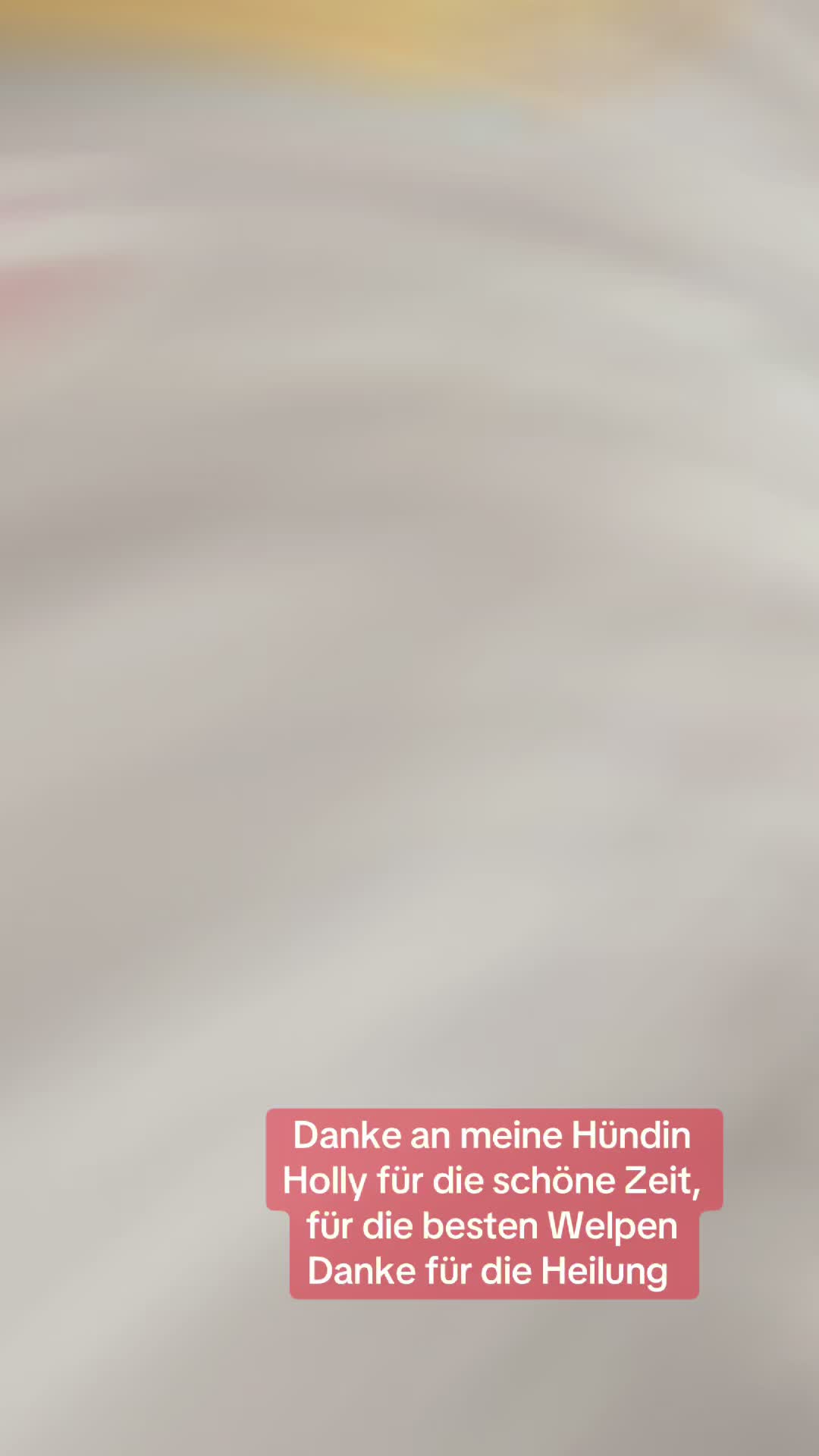 @🩷misskeekkssii🩷