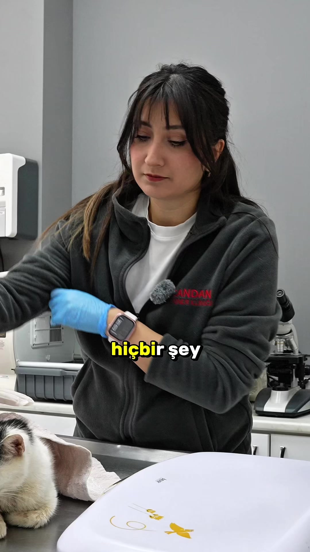 @Candanveteriner