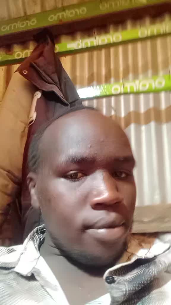 @alphino