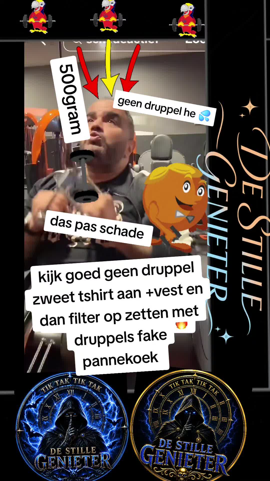 @DE STILLE GENIETER