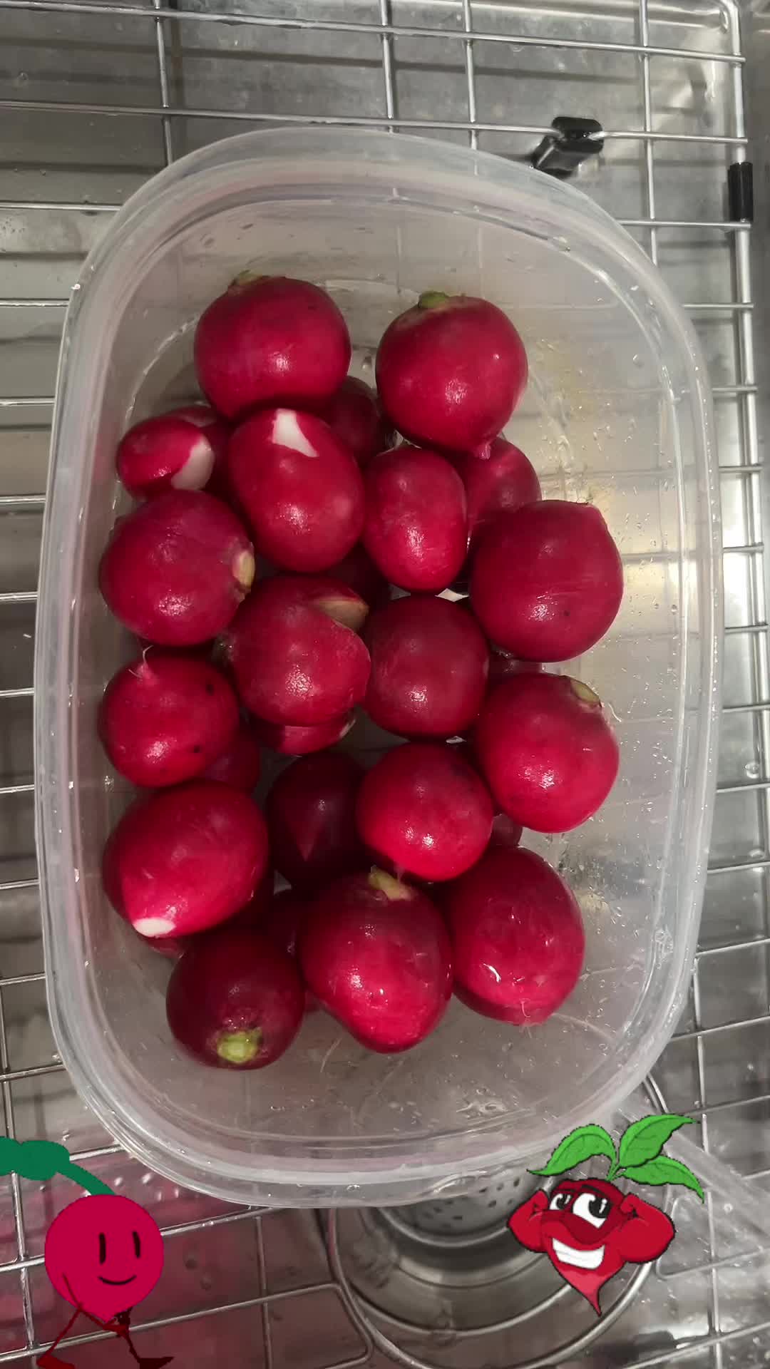 @Rosa María