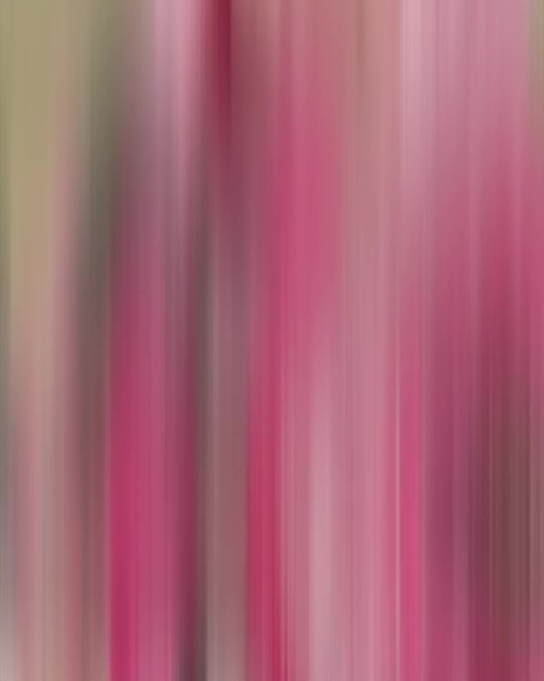 @૮ ․ ․ ྀིა ⋆. 𐙚 ˚