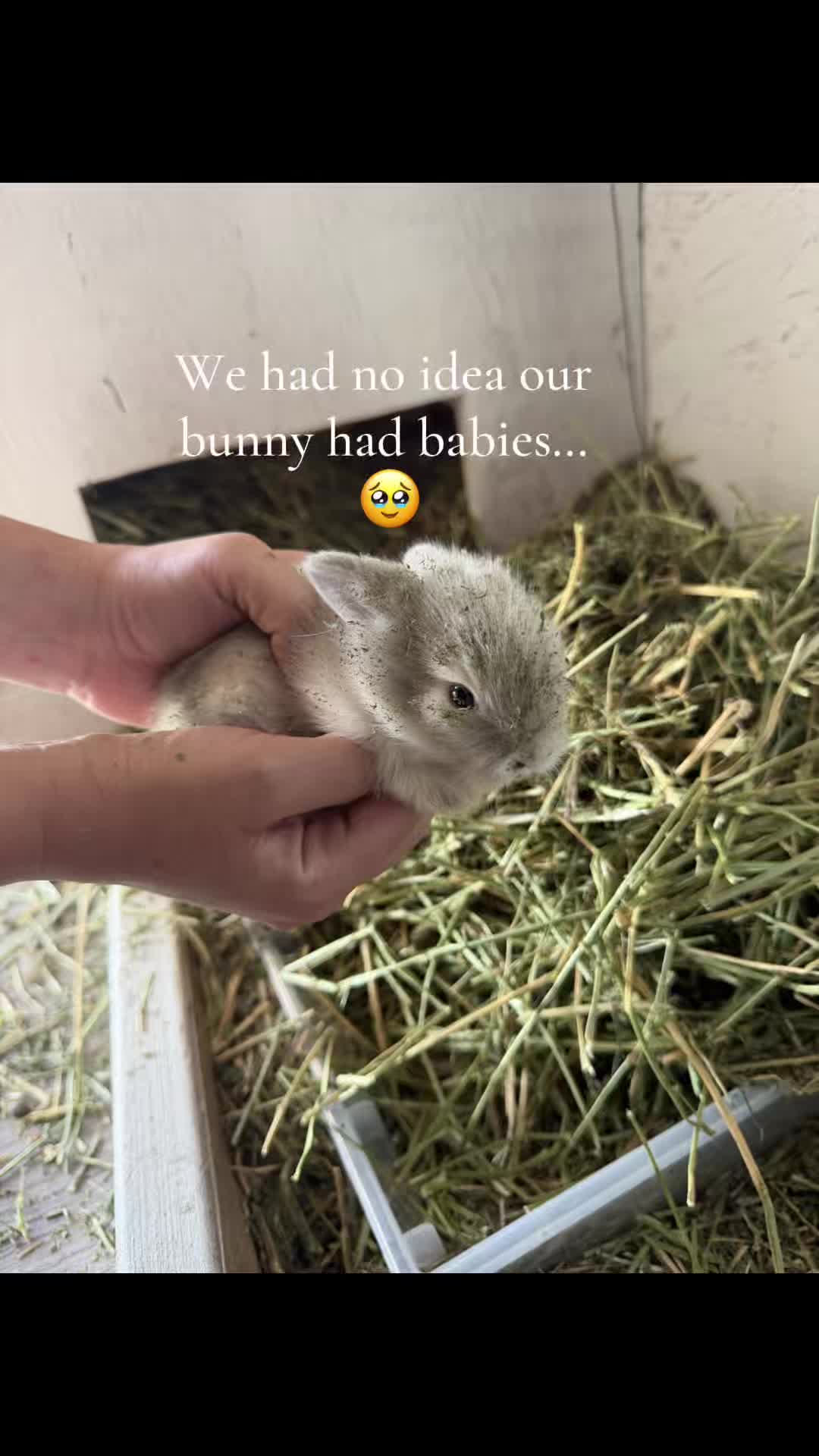 @🌻†HealthyHearted𝓂♡𝓂𝓂𝒶†🌻