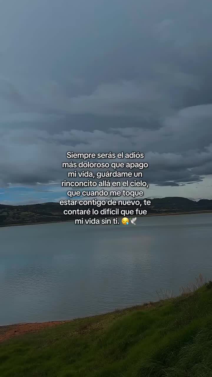 @mediaa_luna