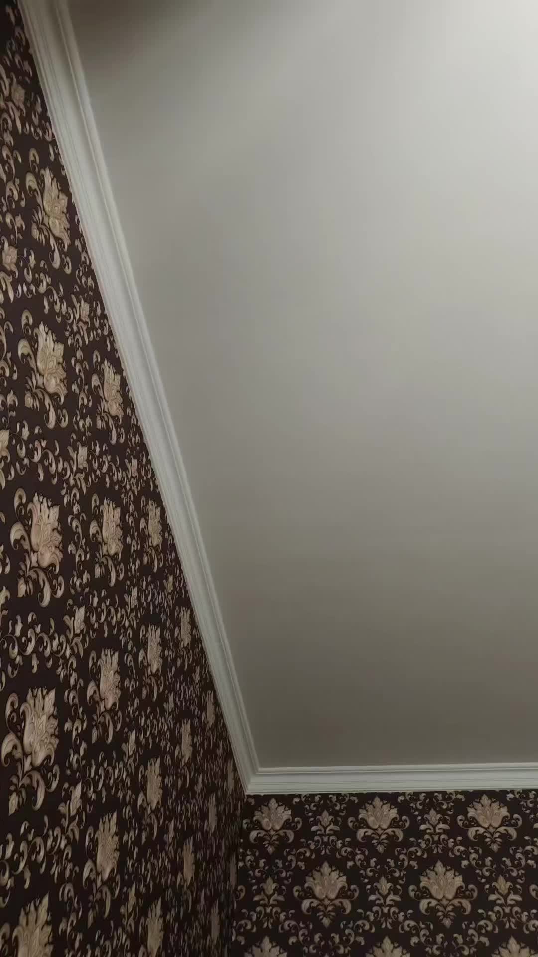 @Salmanov_SR