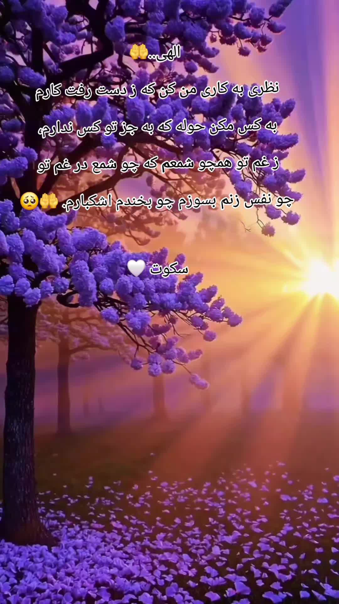 @سکوت 🌺🌺🌺