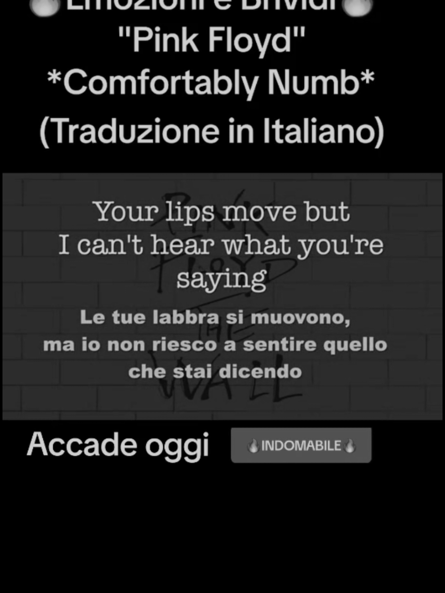 @🔥INDOMABILE🔥