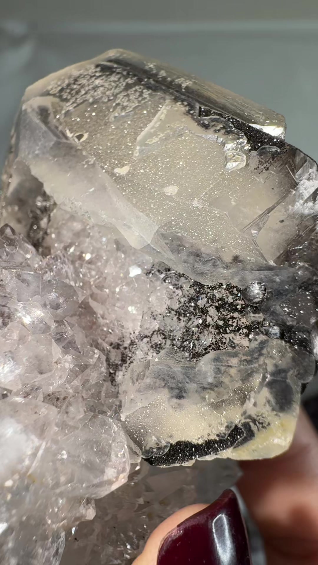 @Bella’s Crystal collection
