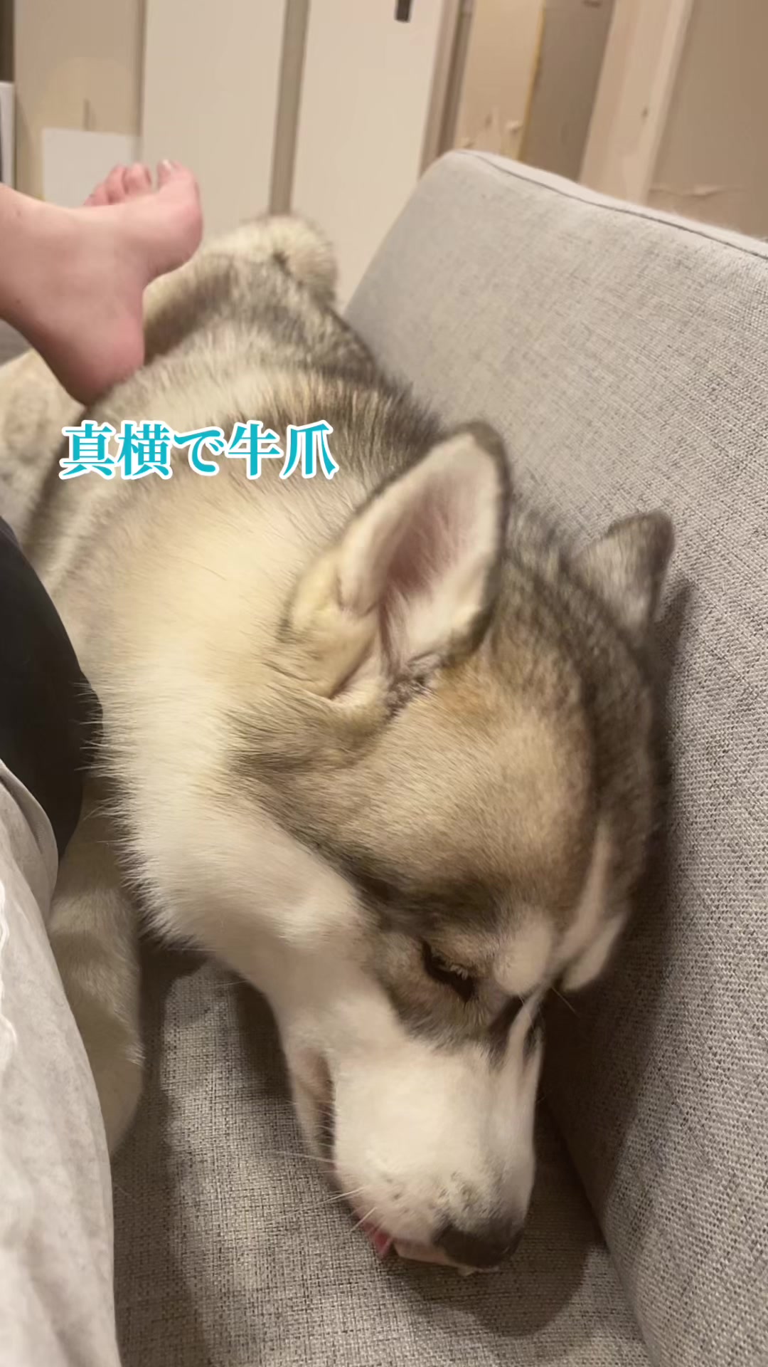 @サン☀️とムーン🌙