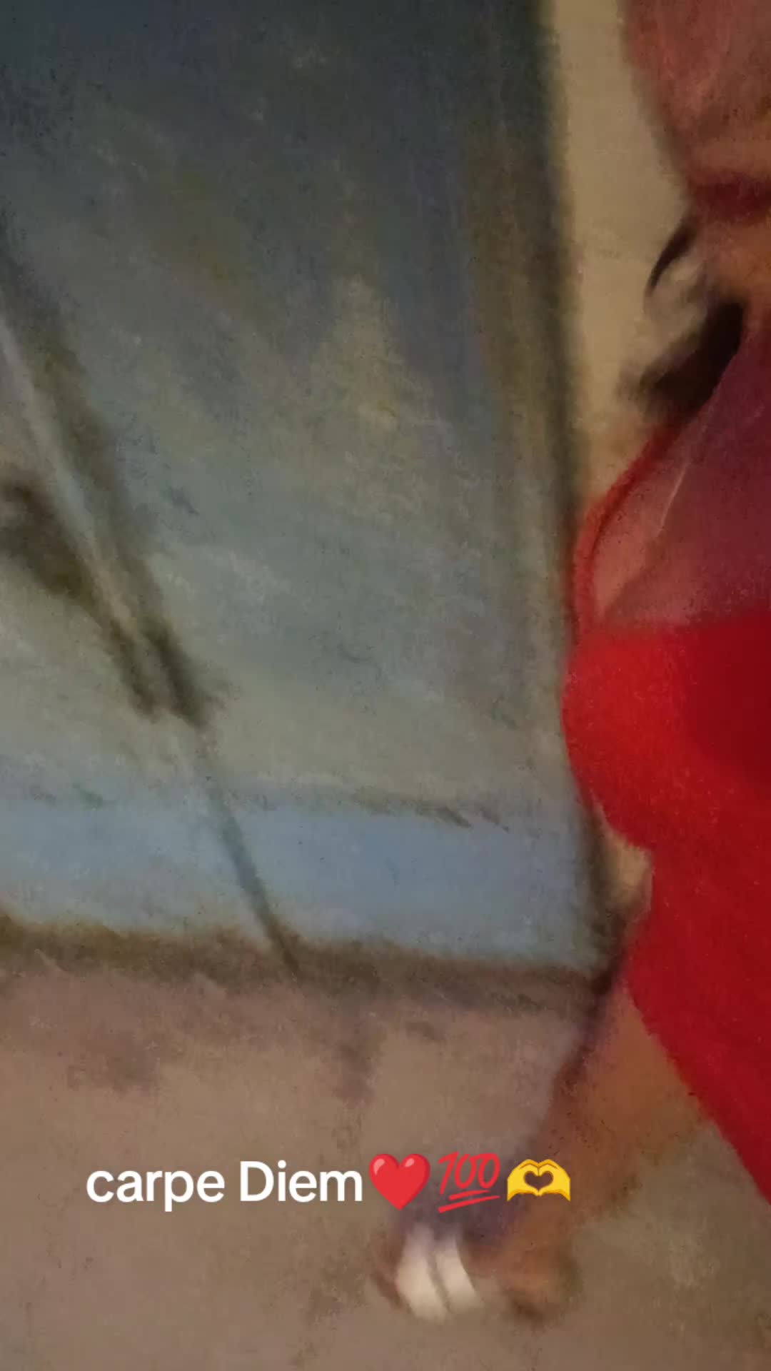 @luciamongelli225