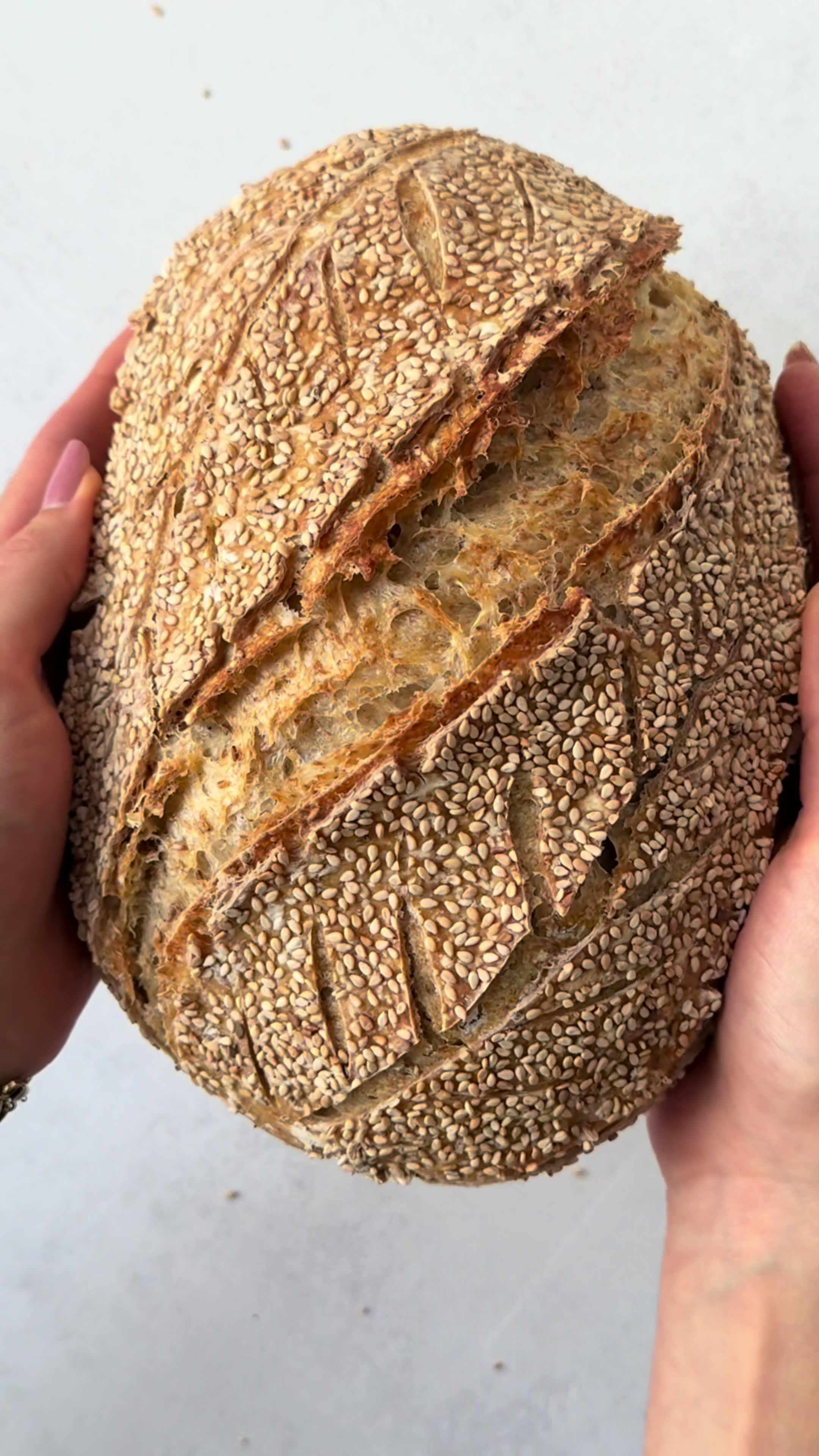 @einfachnurbrot_