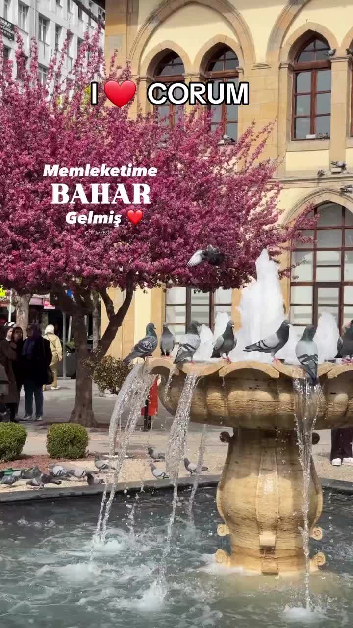 @Avrupadaki_Corumlular_19
