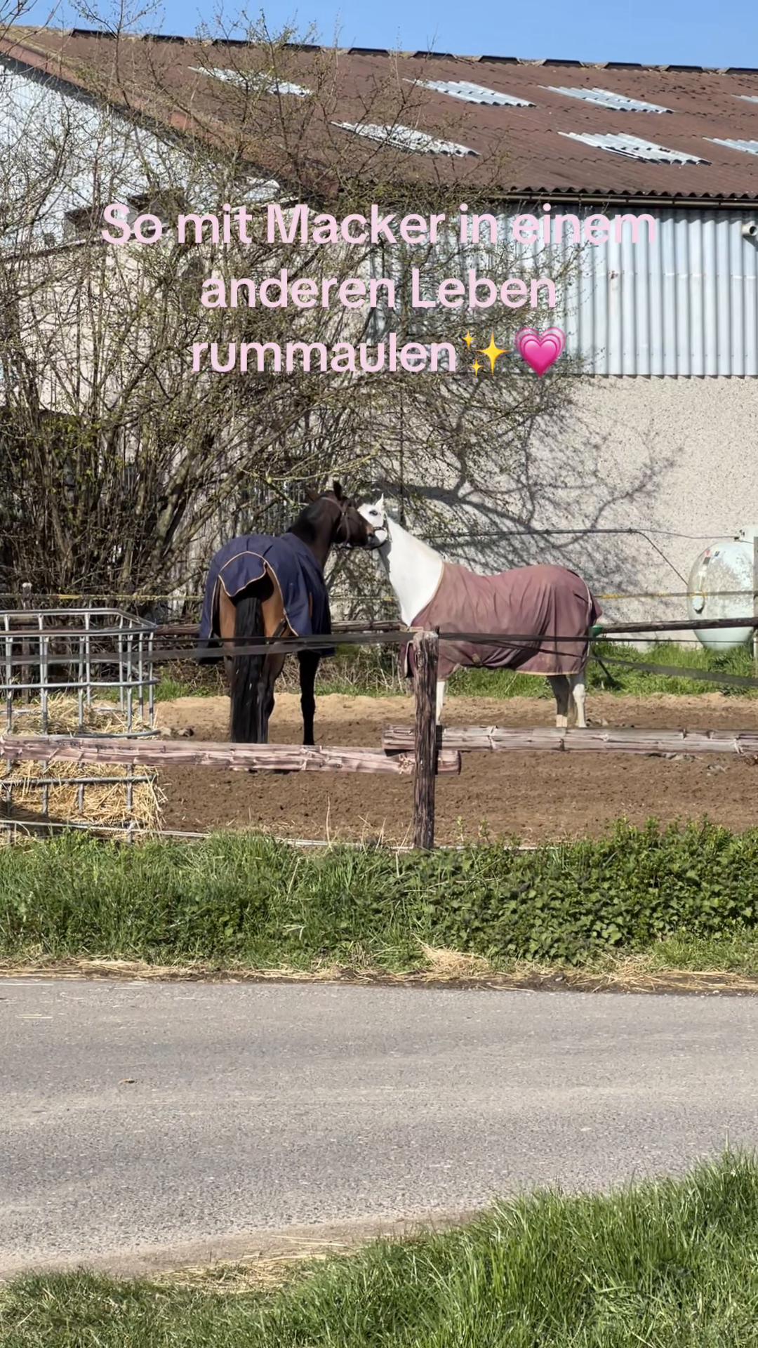 @Adi 🪴☀️