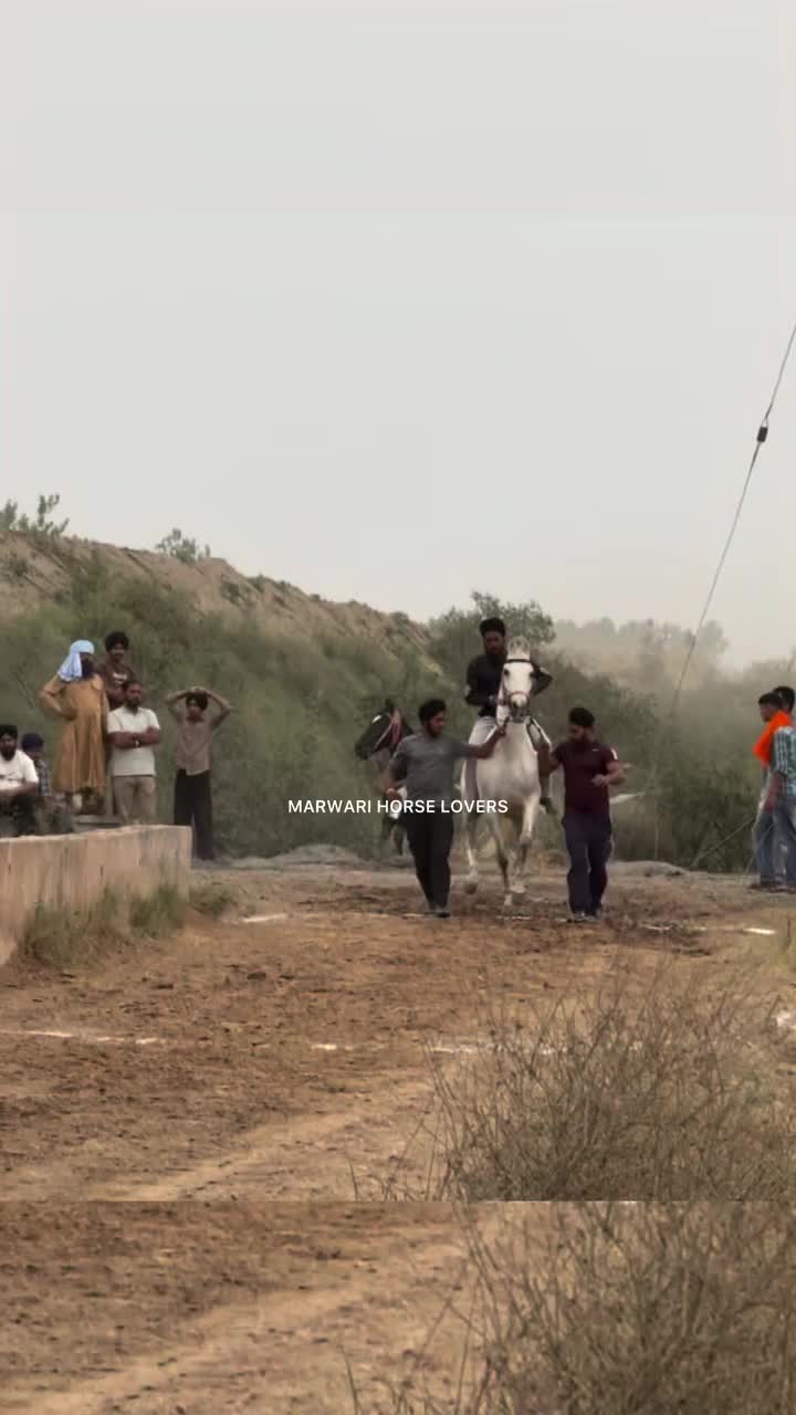 @🏇 MARWARI HORSE RACING 🏇