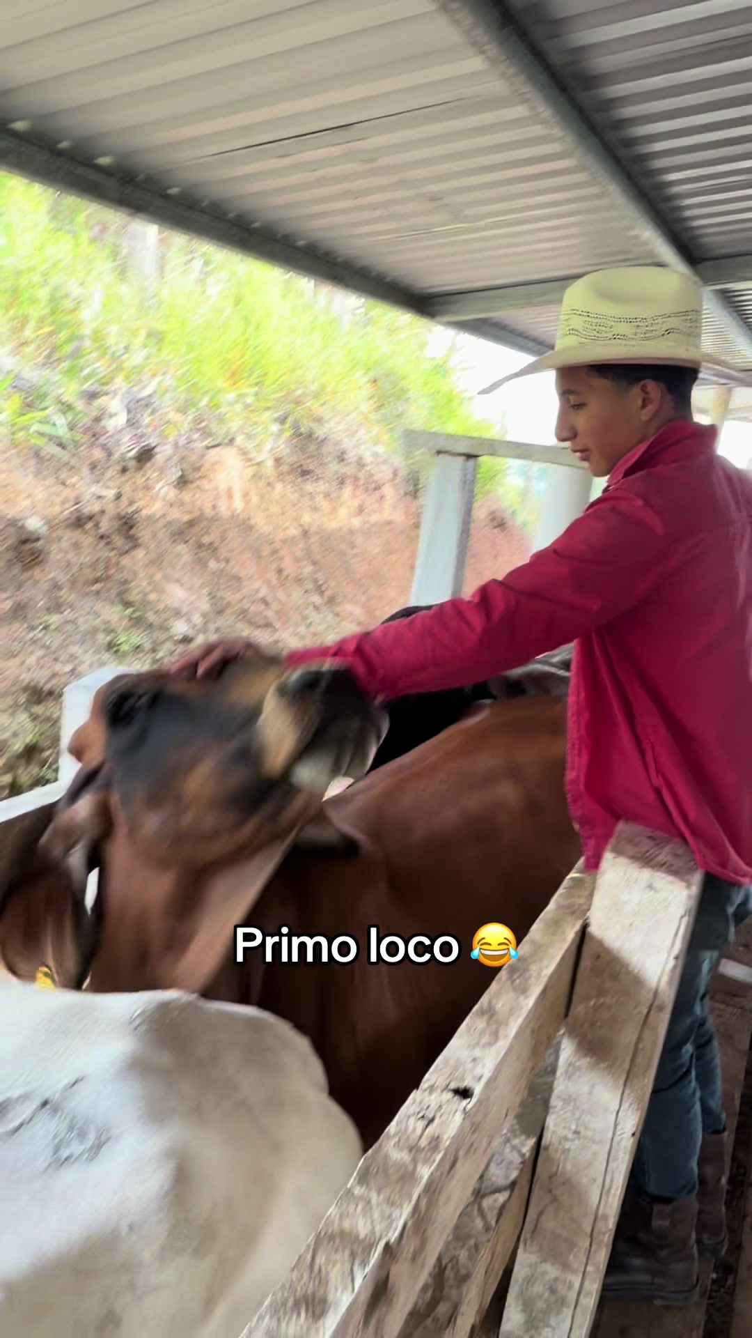 @Esegelsonfuentes