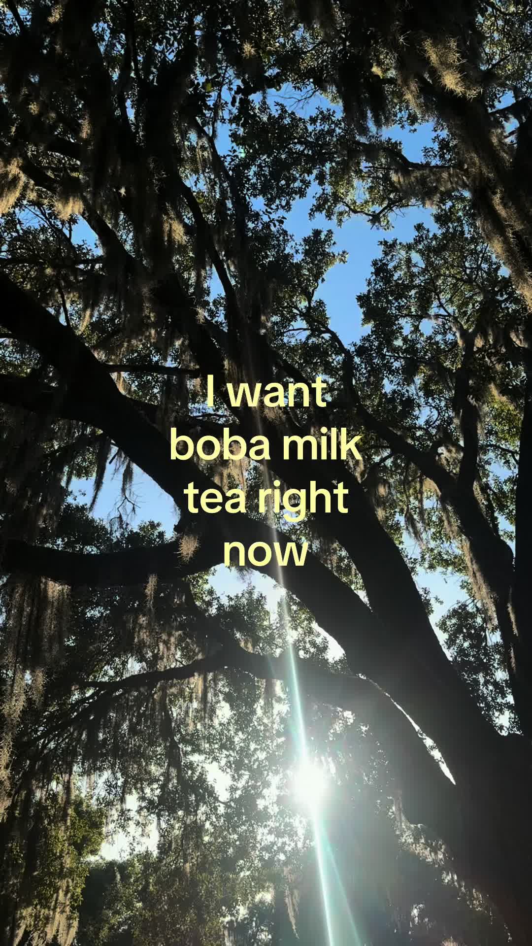 @Bobalover09🧋