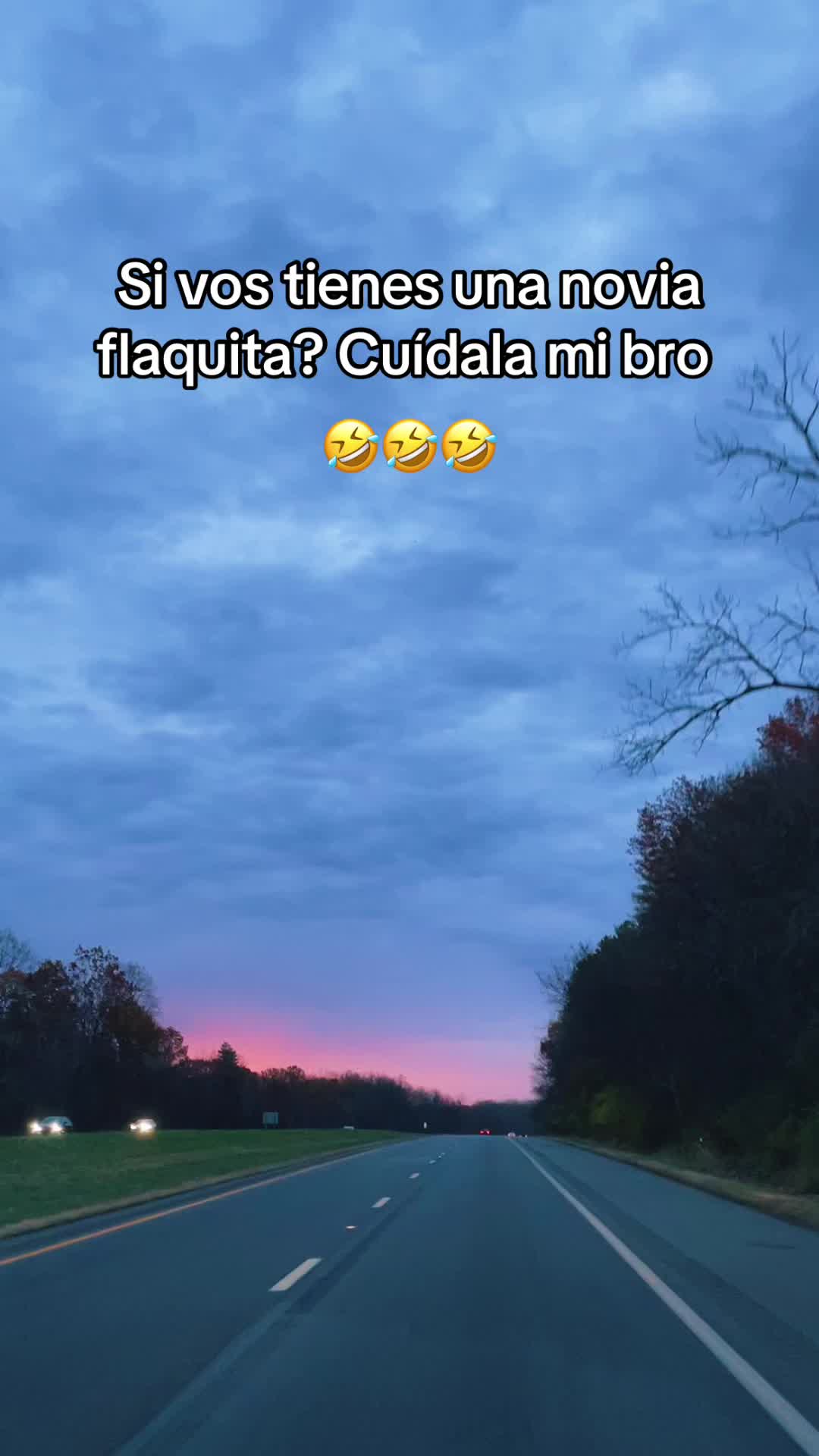 @El Gato503🐈⬛🇸🇻