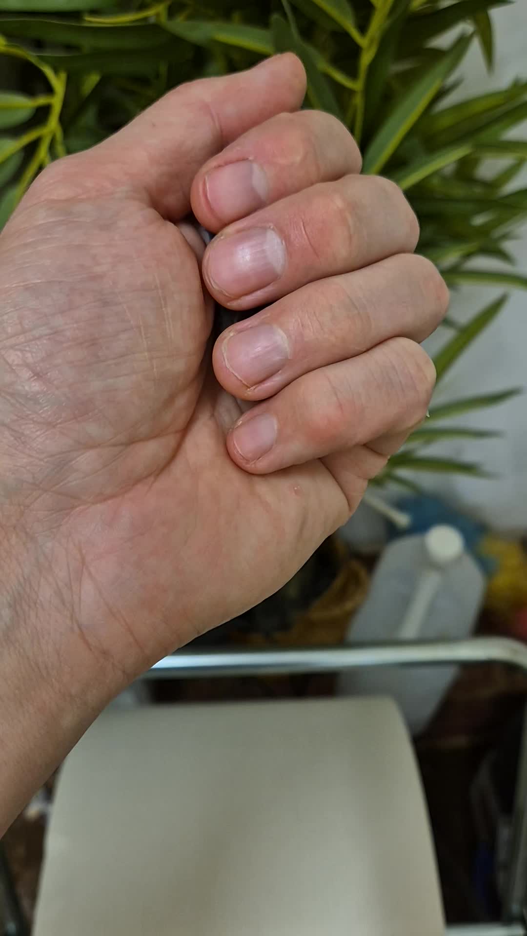 @CambridgeGecko
