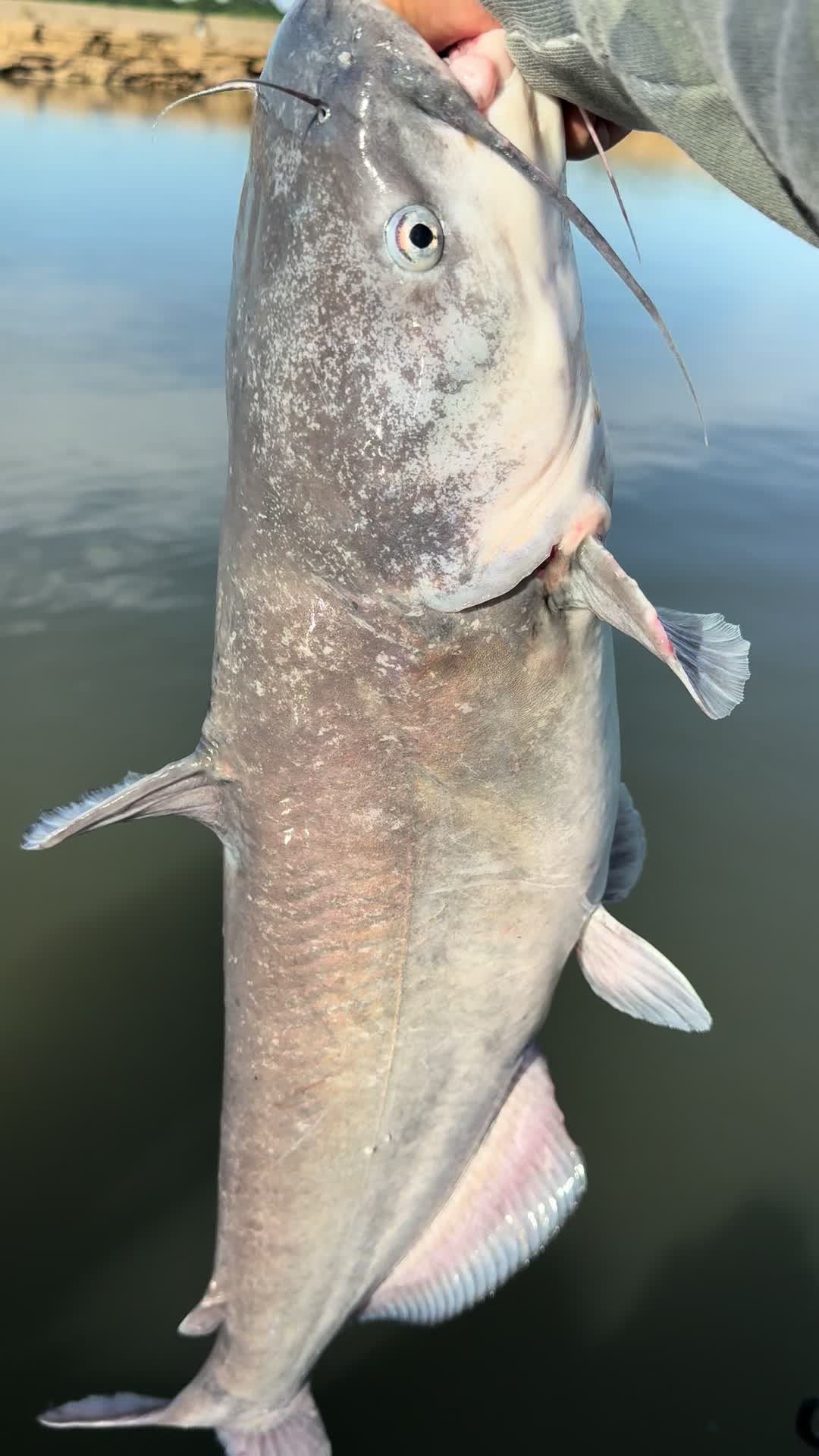 @Kentucky Fishing