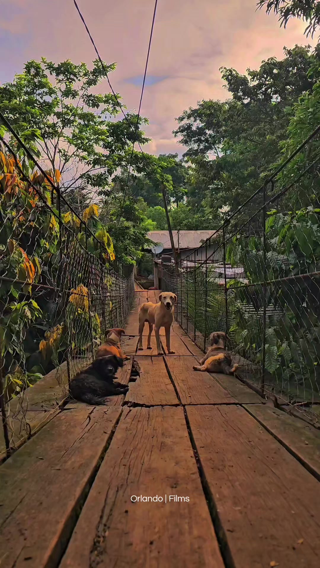 @𝗢𝗥𝗟𝗔𝗡𝗗𝗢𝗙𝗜𝗟𝗠𝗦🕺📸