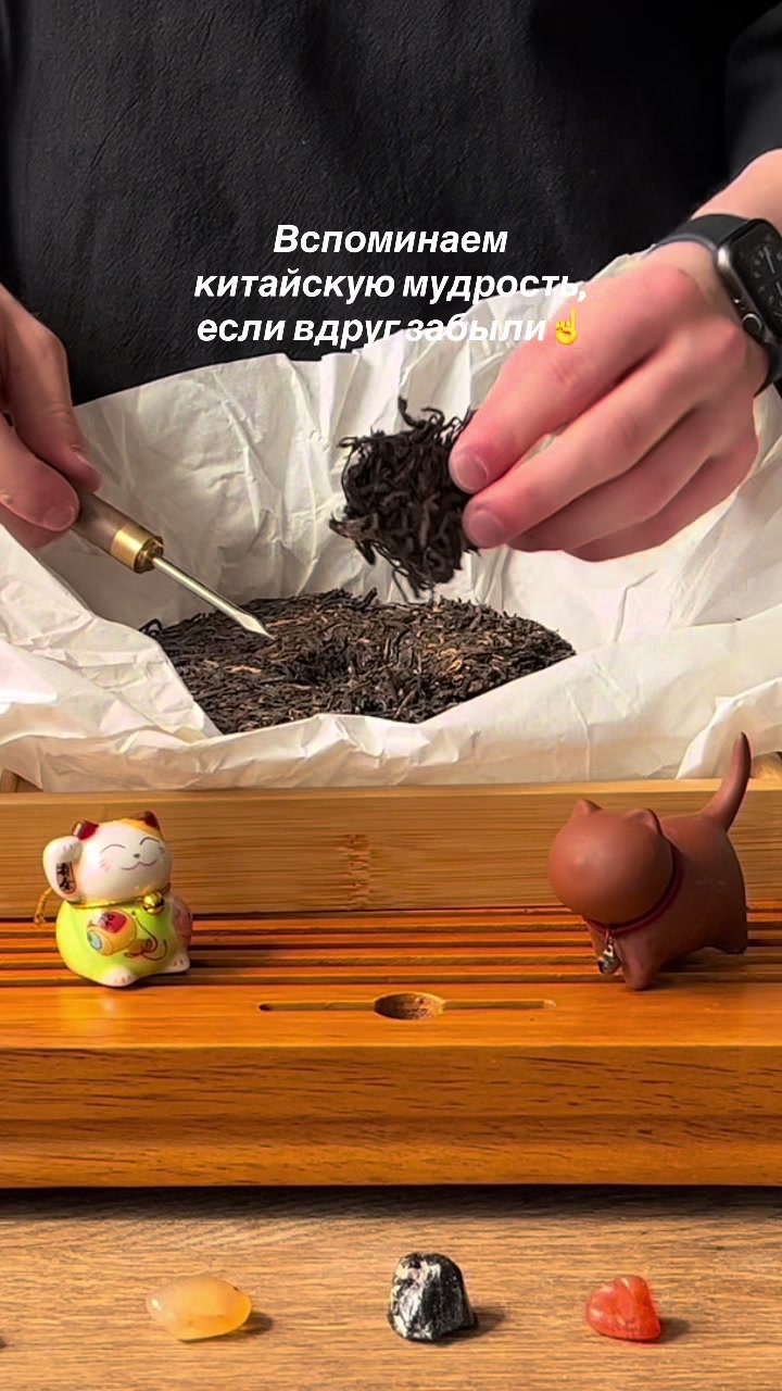 @Chai_Yun🍵