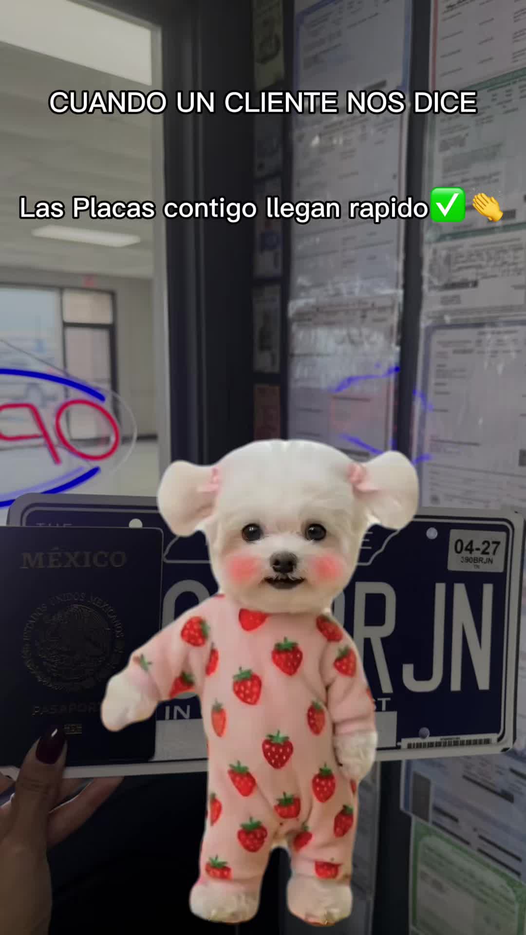 @eligonsolutions_