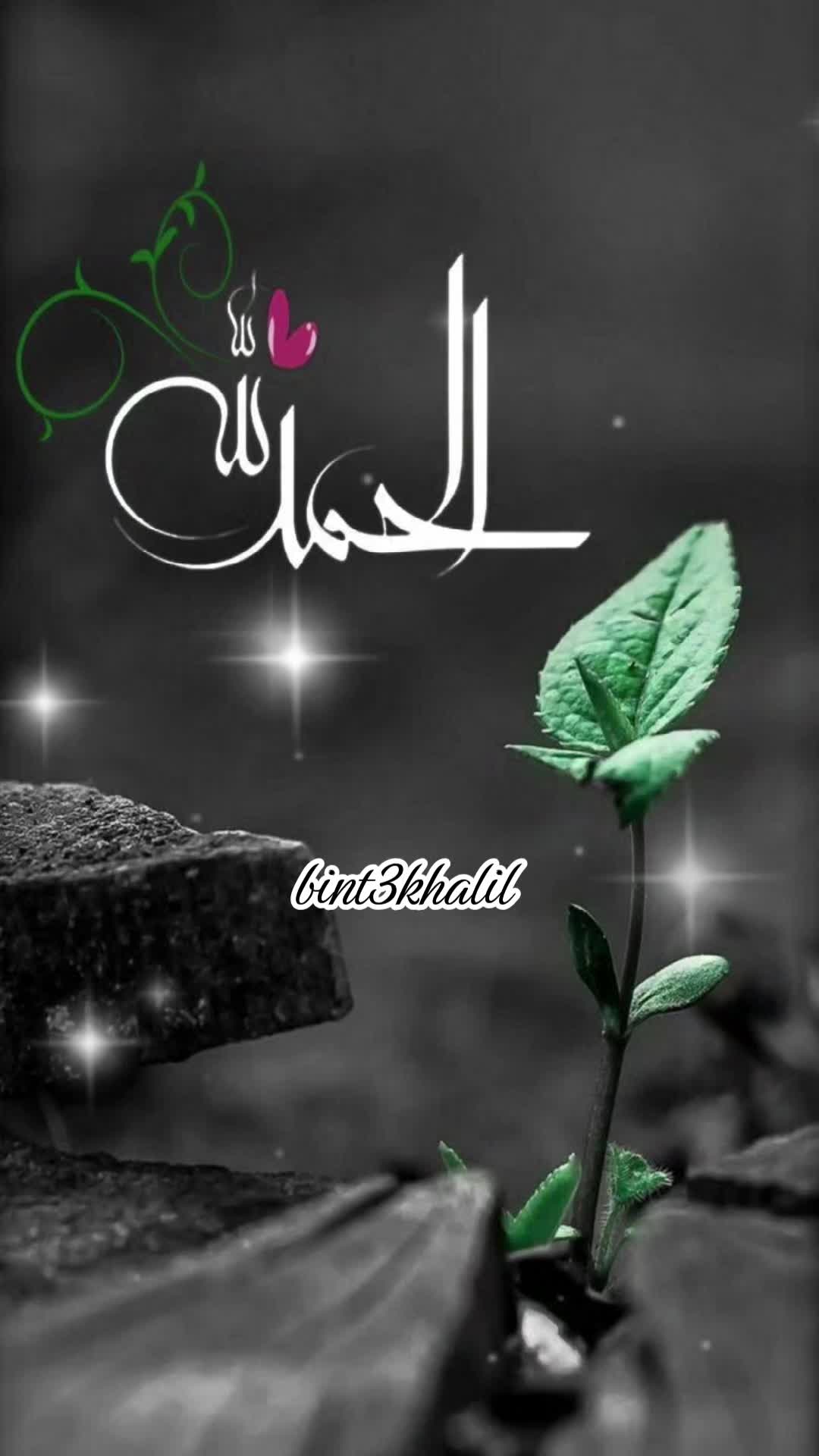 @Umaira