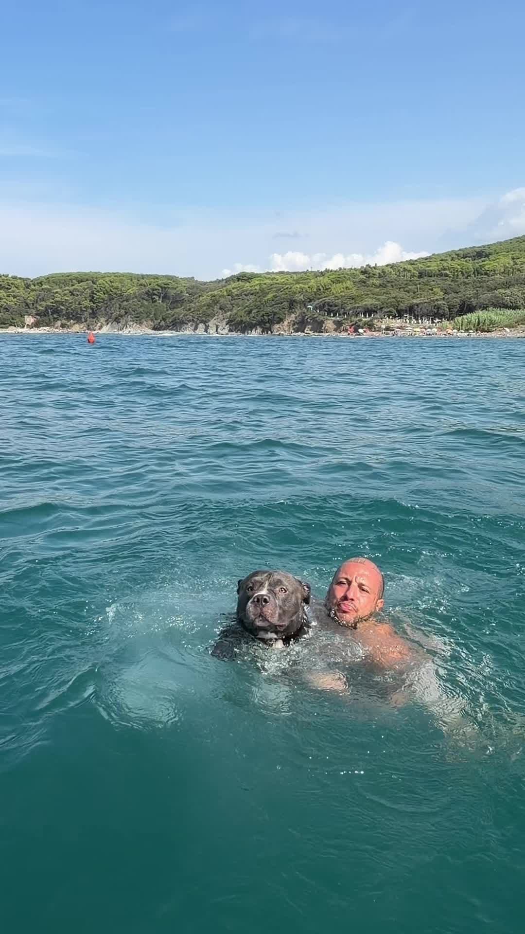 @MASSI e MINO