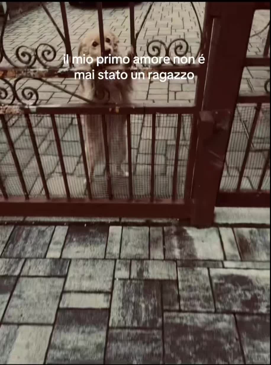 @𝑆𝑜𝑓𝑖𝑎̃