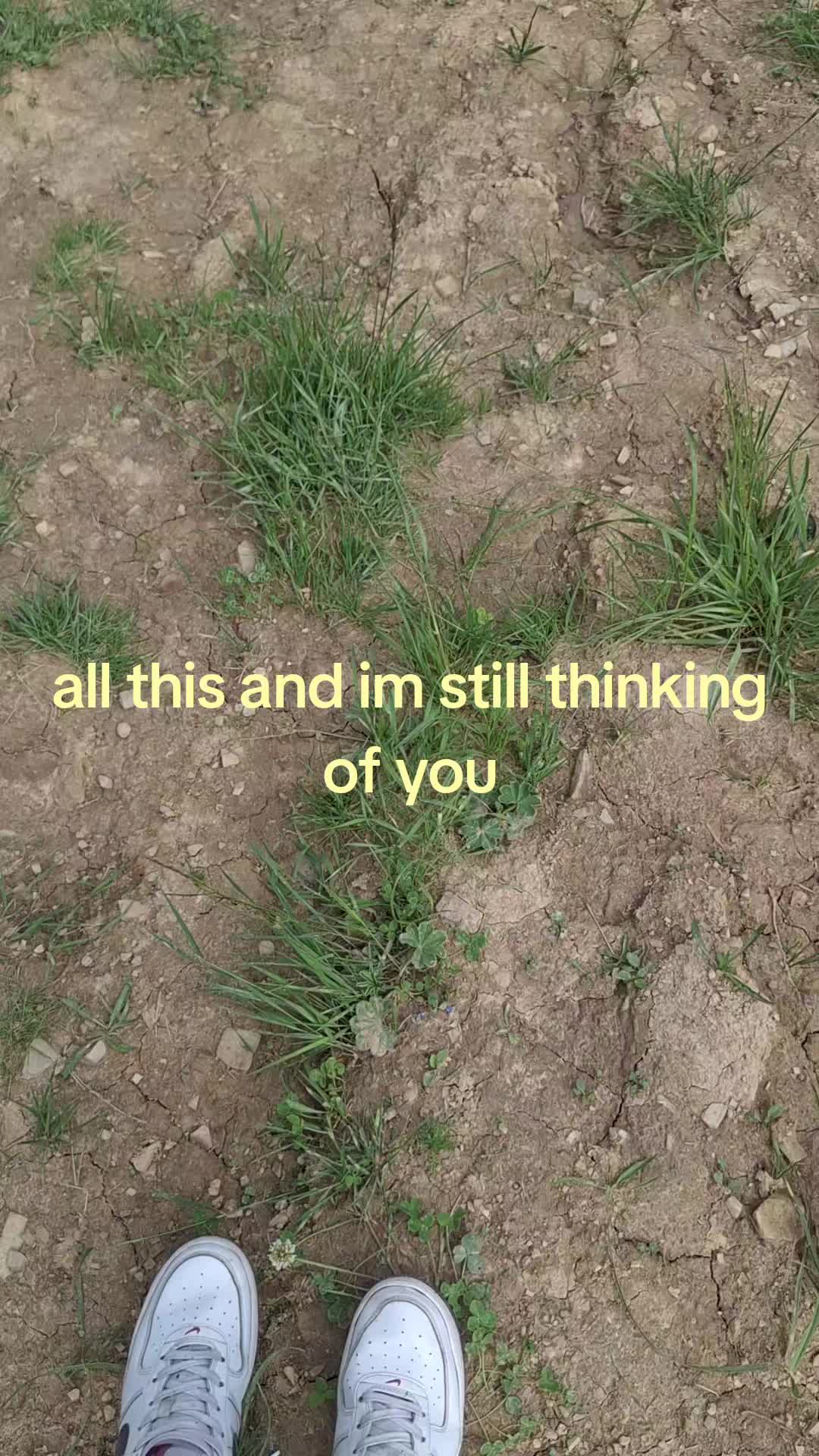 @vxyn