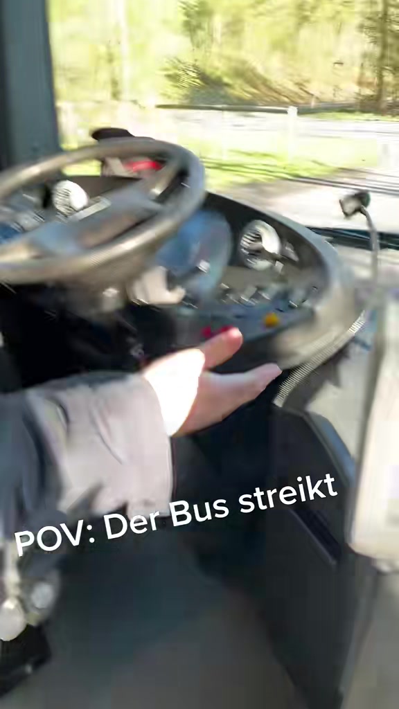 @niklas_steini