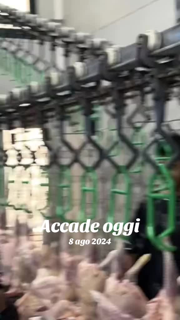@FRANCESCO AZZOLINA 🦁