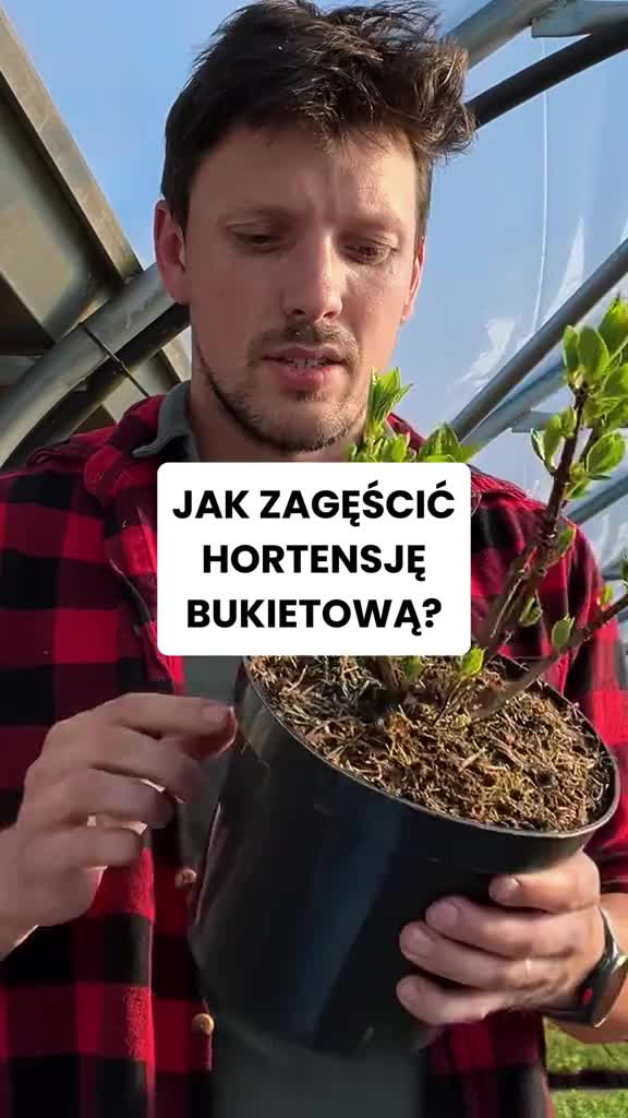 @Ogrodnik Doskonały