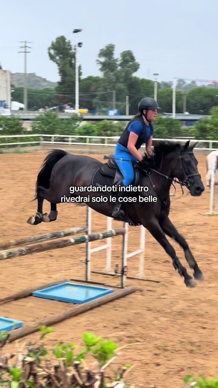 @isa_pullo🩶🐴