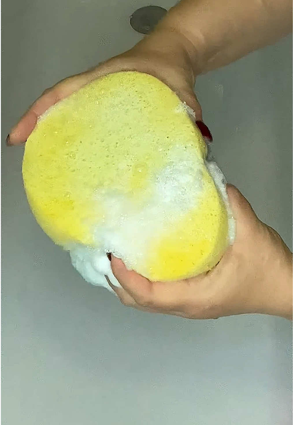 @HD Spongetok