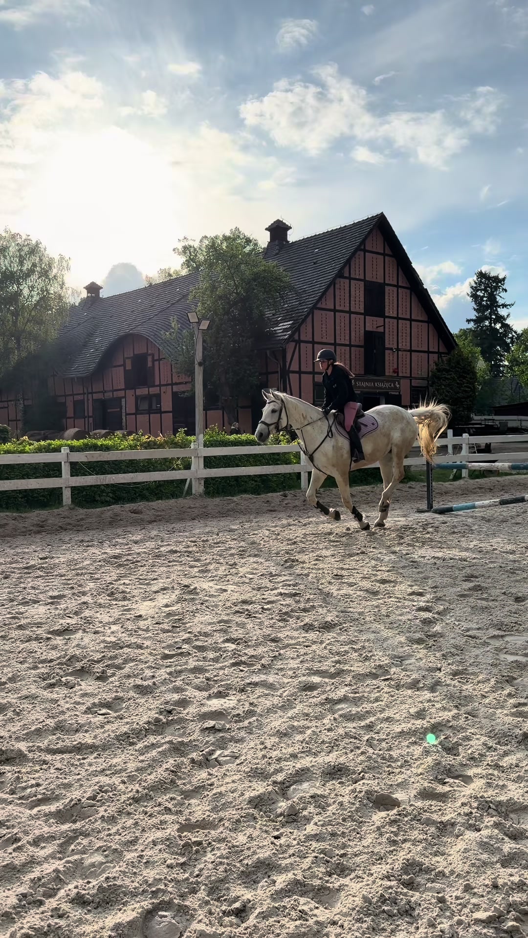 @🐴💗TA OD BELLI I ARY💗🐴