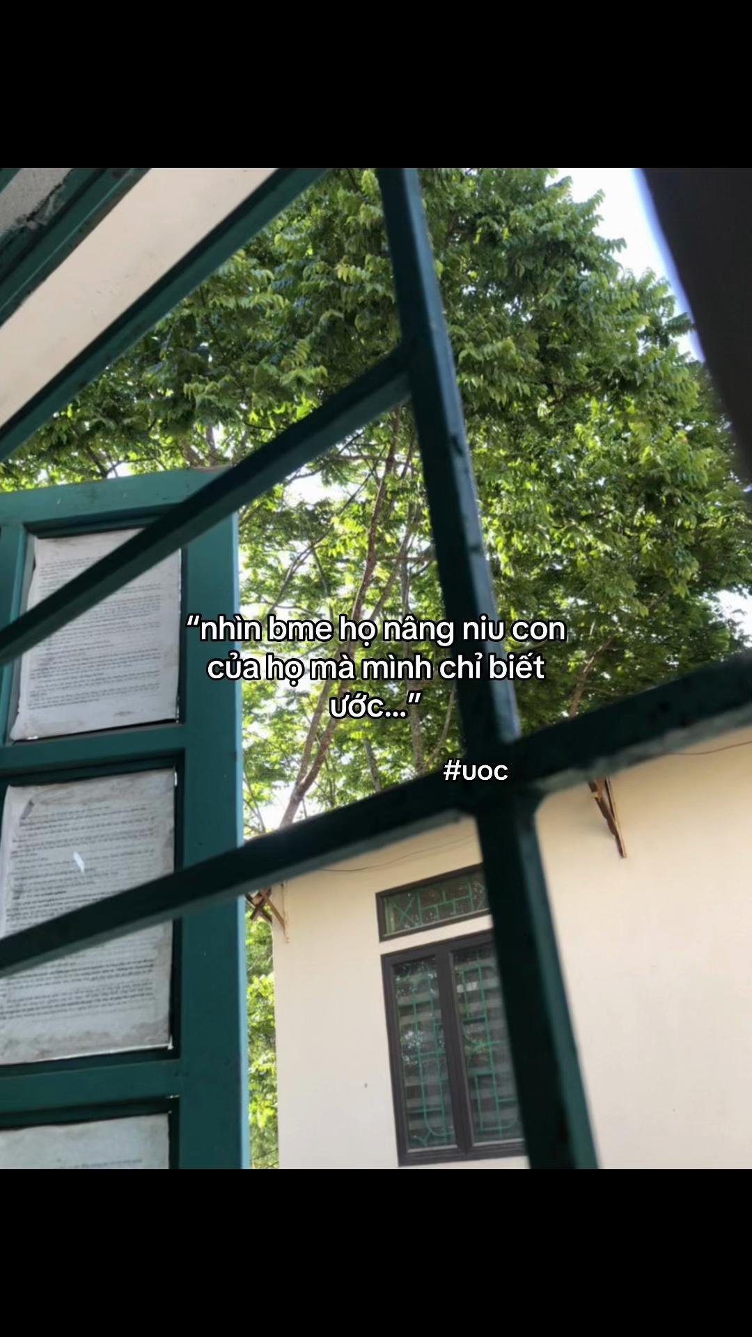 @cảm x&uacute;c