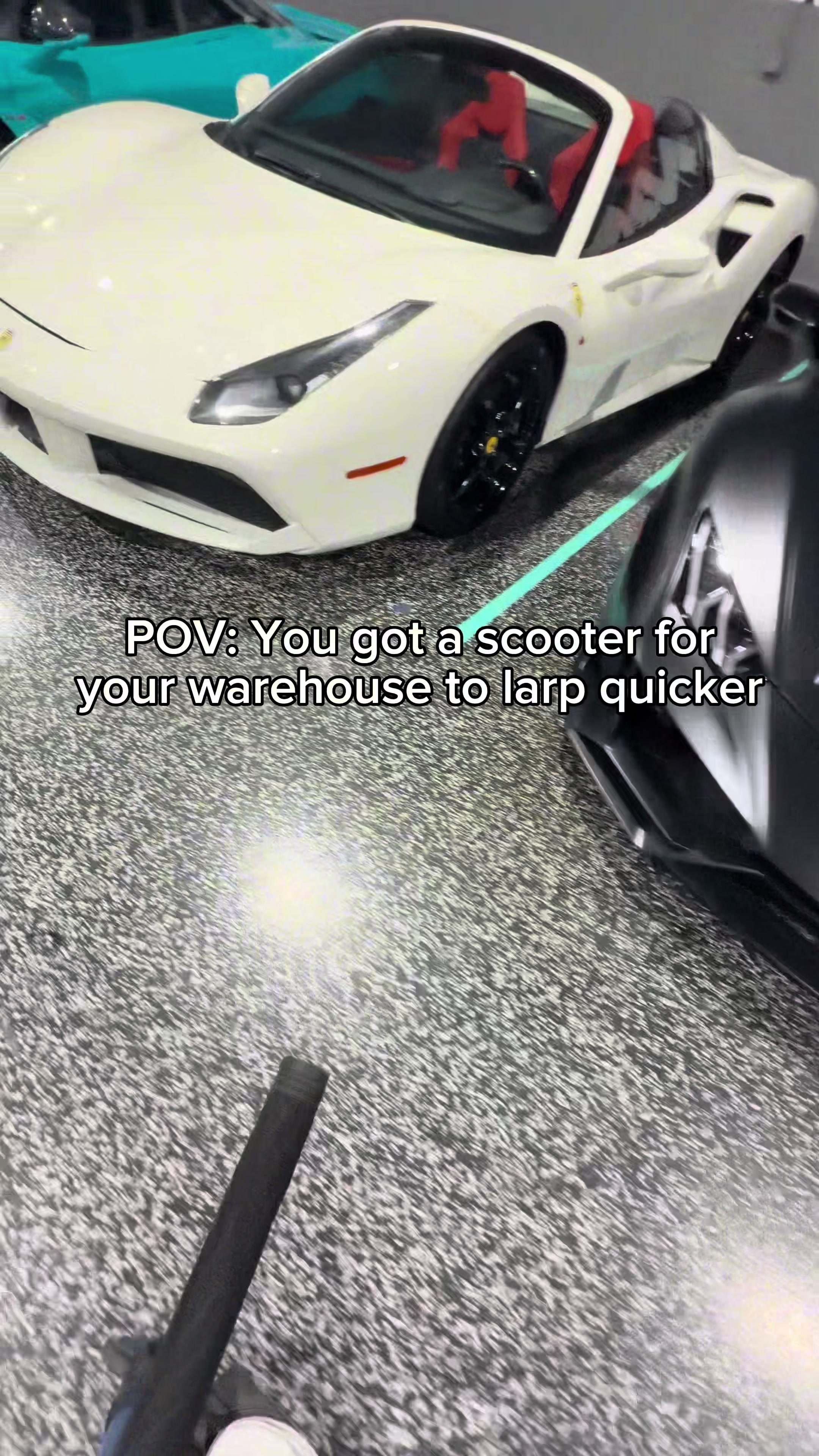 @BasemoExotics