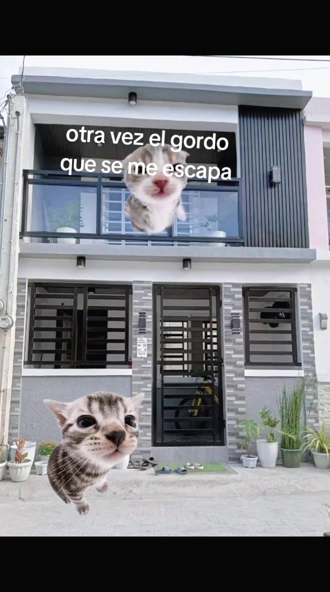 @💆♀️🤷♀️