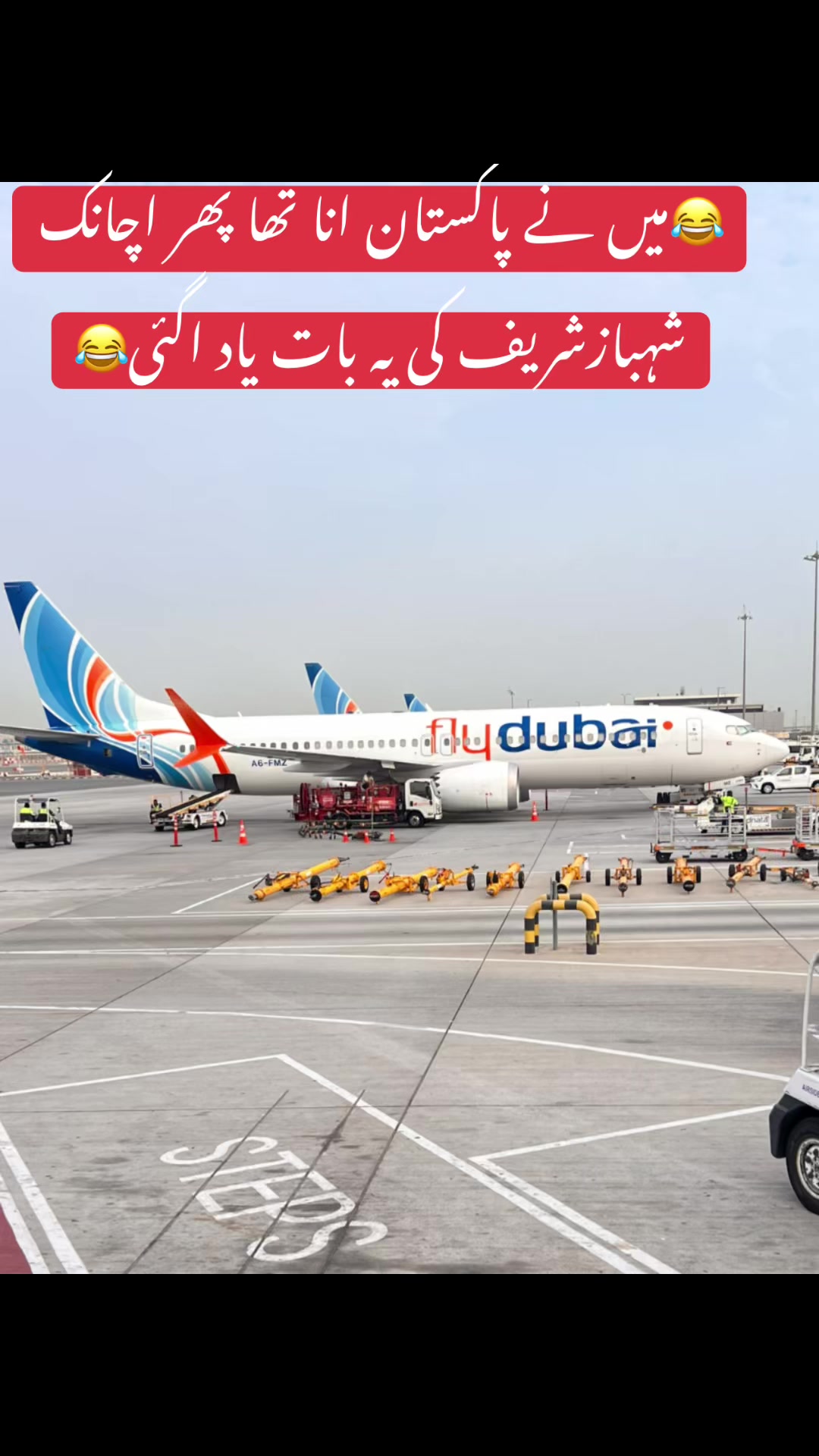 @sheikhhafeezoo774