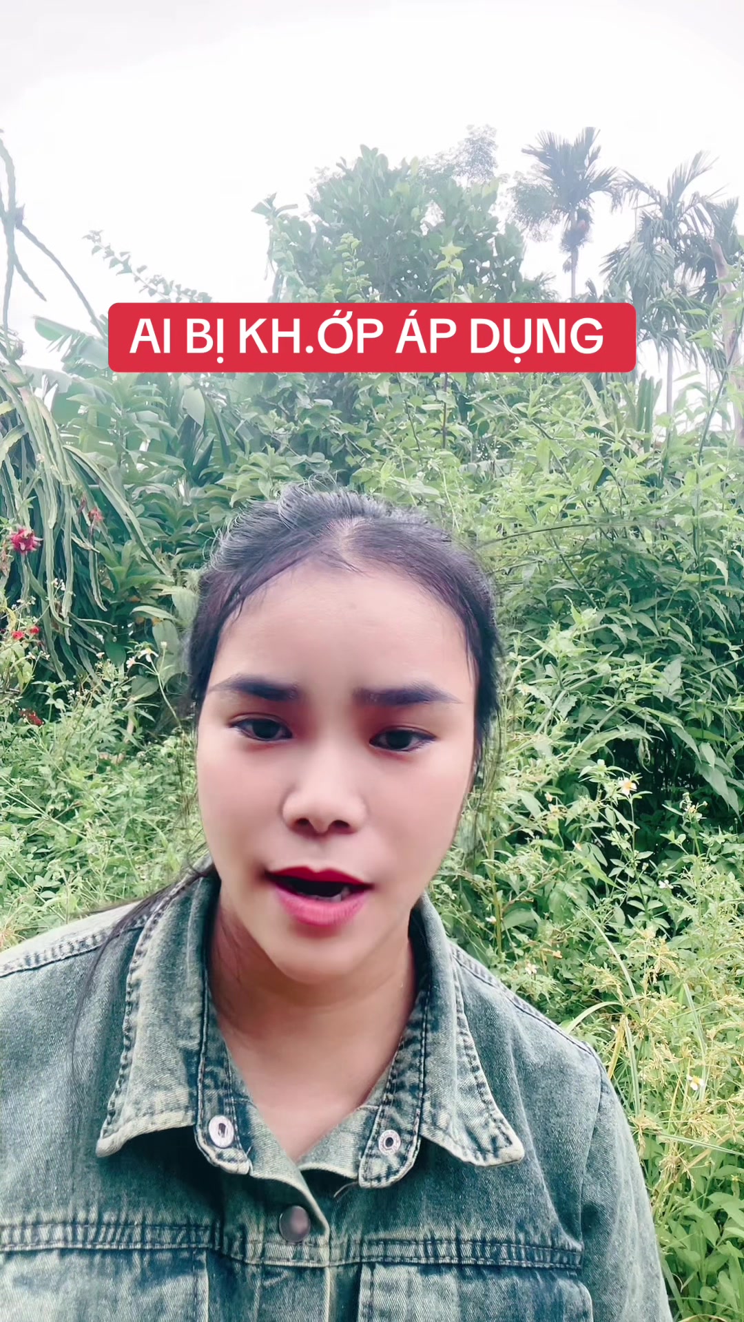 @Ngọc Chinh Miền N&uacute;i