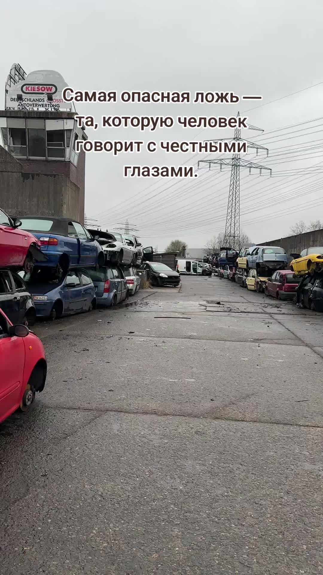 @Iriss
