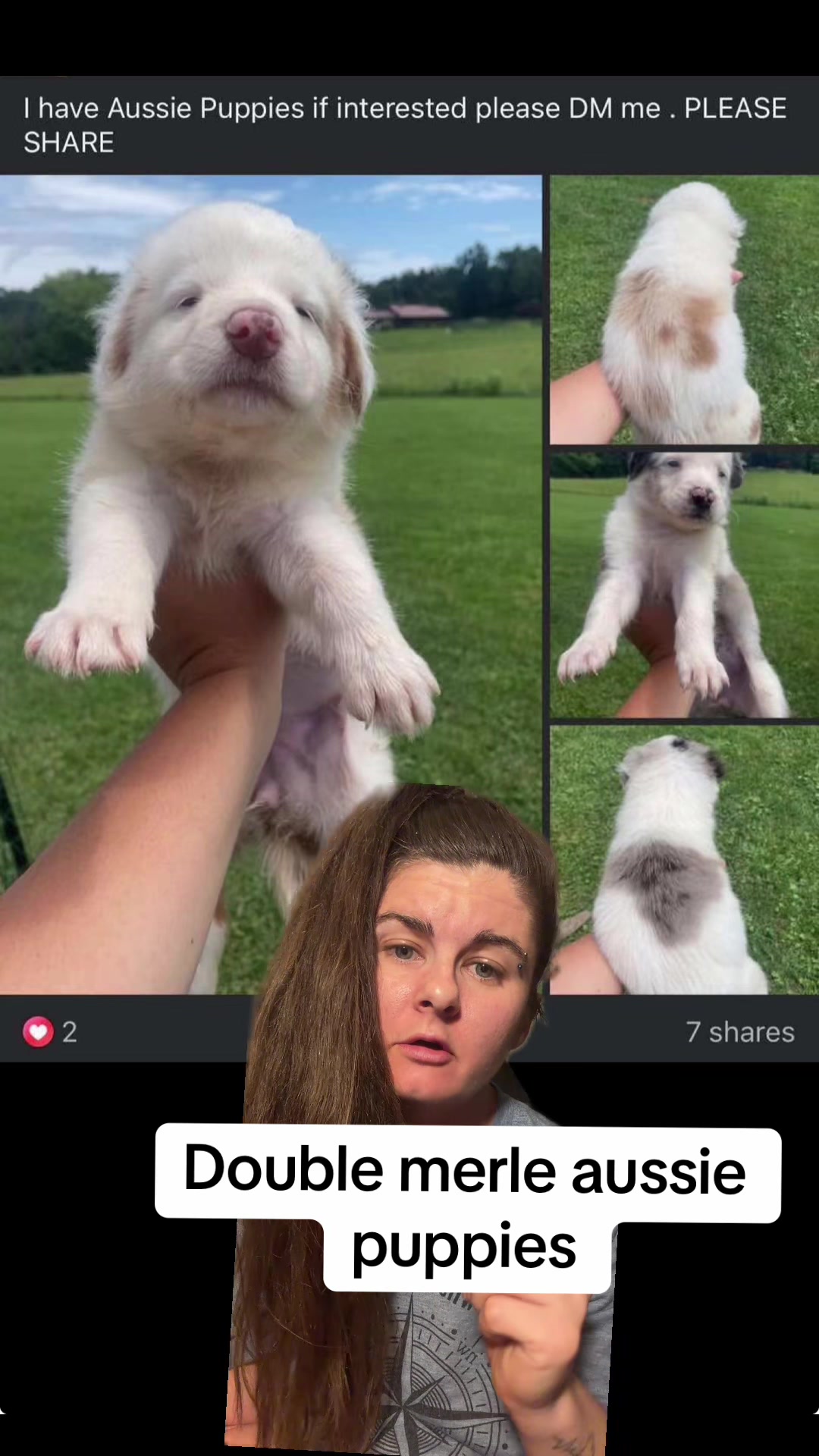 @Jess Shark🐾DOG PACK🐾