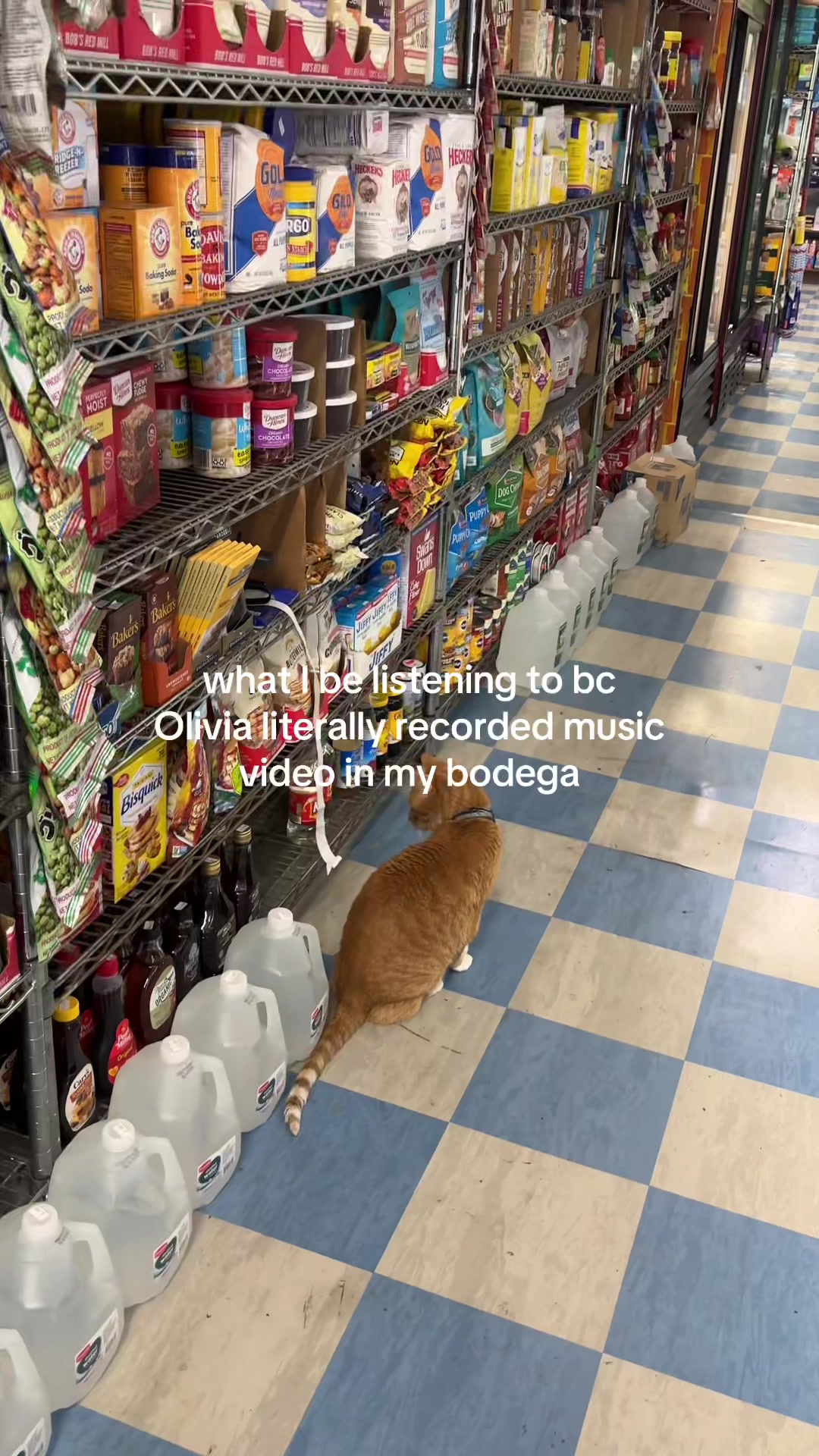 @olalovesdietcoke