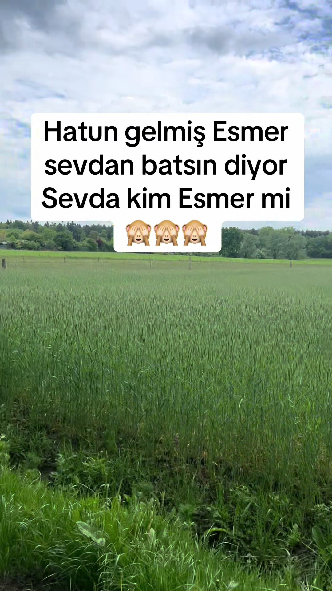 @✌️✌️✌️✌️🇩🇪🇩🇪🇹🇷🇹🇷