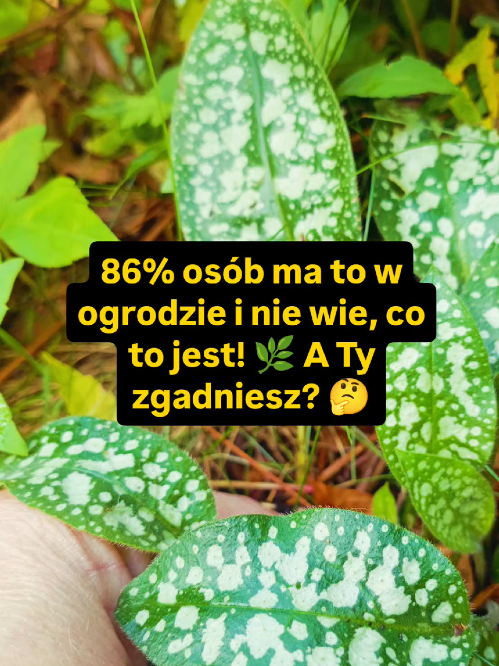 @Chwila Na Naturę🌿