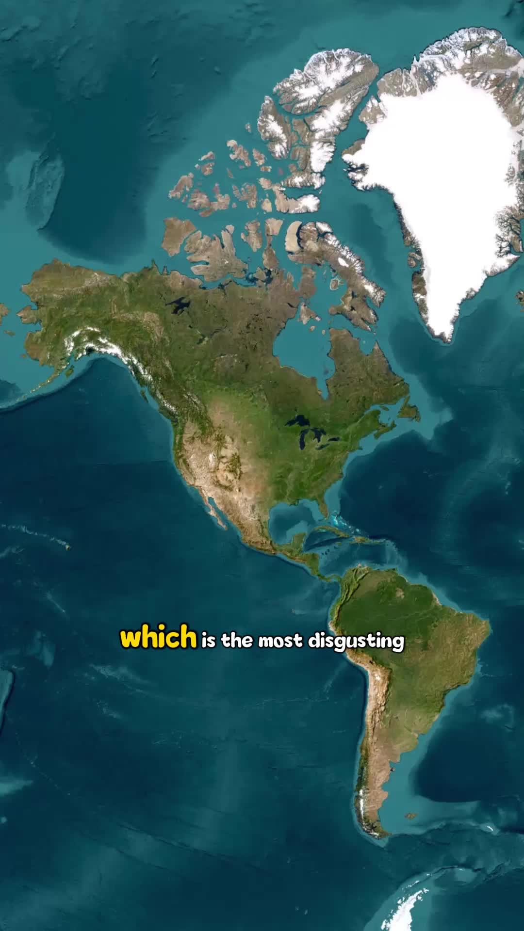 @Random Facts In The World