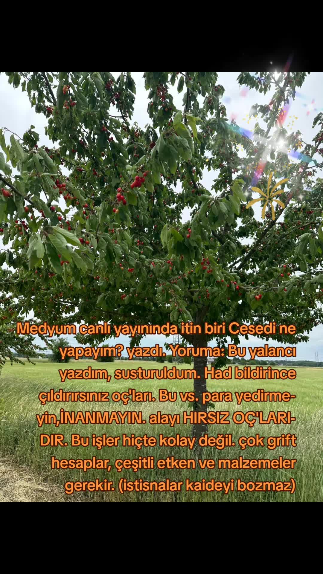 @Reddiye Merkezi