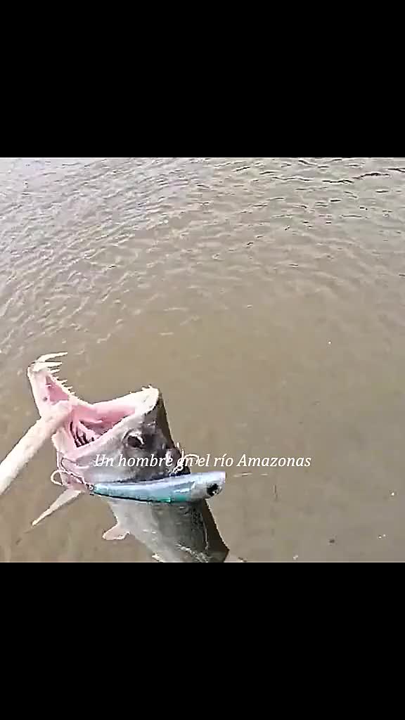 @vgwyeq