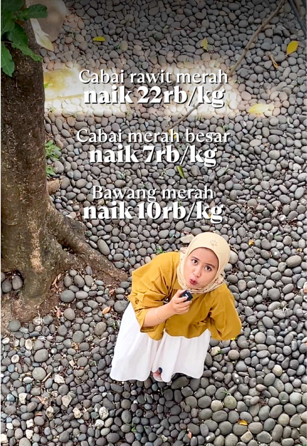 @MasakTV